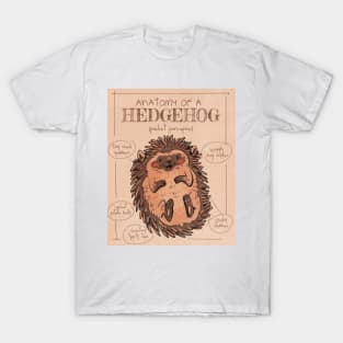 Anatomy of a Hedgehog T-Shirt
